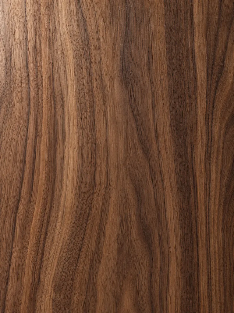 Wood: a close-up sample of the material